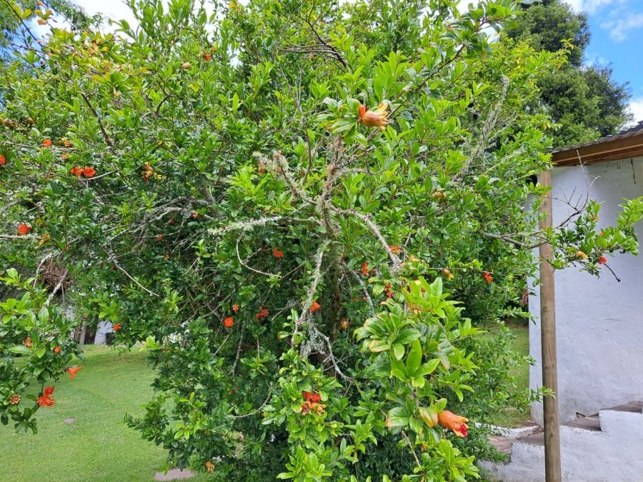 4 Bedroom Property for Sale in Herbertsdale Western Cape